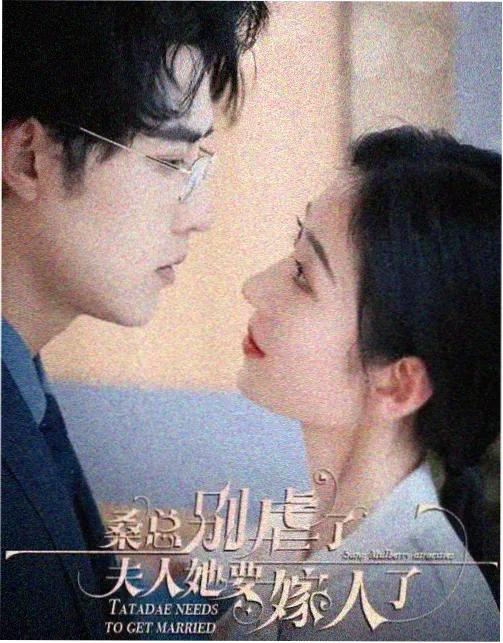 小姐姐剧集糖霜年代海报